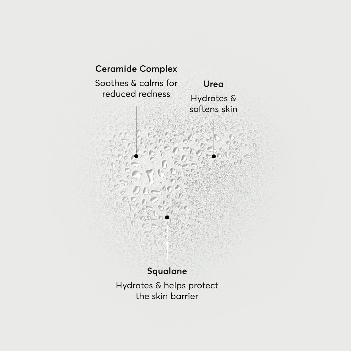 barrier-bounce-bi-phase-mist-x9 NATR-10167-Alt-Images-Barrier-Bounce-Bi-Phase-Toner-Mist_01.webp