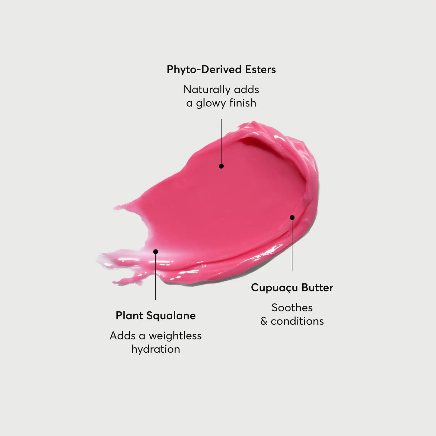 phyto-glow-lip-balm-camellia-v1 NATR-60075-Alt-Images-Phyto-Glow-Lip-Balm-Camellia-01.webp